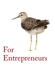 For Entrepreneurs