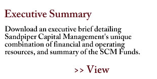 Exec Summary